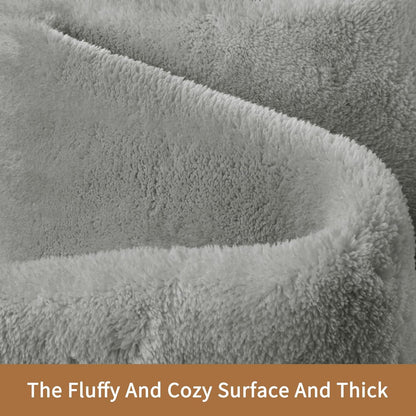 Sour Lemon 8x10 Area Rugs for Living Room, Soft Large Area Rug Fluffy Rugs for Bedroom，Machine Washable Area Rug Non Slip Carpet Rug for Living Room Playroom Kids Room Home Decor