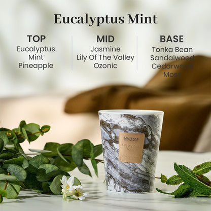 M&SENSE EucalyptusMint Scented Candles for Home, Lead-Free Wick Highly Scented Jar Candles, 14.1 Oz 80 Hours Lasting Burning Candles Gifts for Women, Relaxing Aromatherapy Candle for Stress Relief