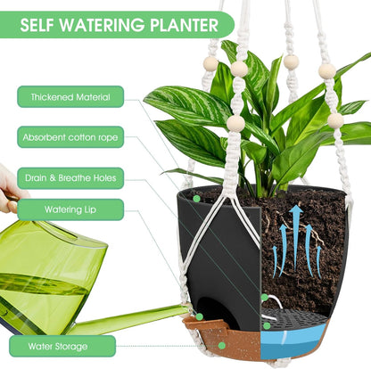 Hanging Planters for Indoor Outdoor Plants, 2 Pack Self Watering Hanging Pot with Drainage Holes, Removable Tray & 2 Kinds of Plant Hangers, 8'' Hanging Flower Pots for Home Garden Decor, Black