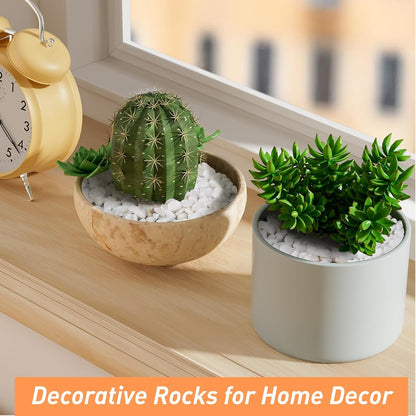 5 lbs White Aquarium Gravel, 1/5 Inch White Rocks for Plants, Small Pebbles for Vases, Succulents, Bamboo, Natural Decorative Pebbles for Plants Drainage, Cactus, Crafts