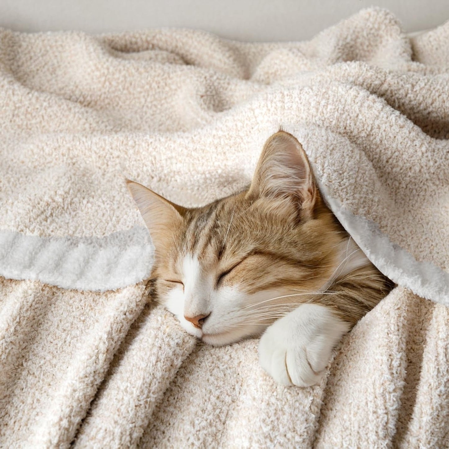 MIULEE Cream Super Soft Throw Blanket for Couch, Cozy Fluffy Warm Throws Knit Blankets for Sofa, Bed, Chair, Living Room, Camping, Picnic, 50 x 60 inch