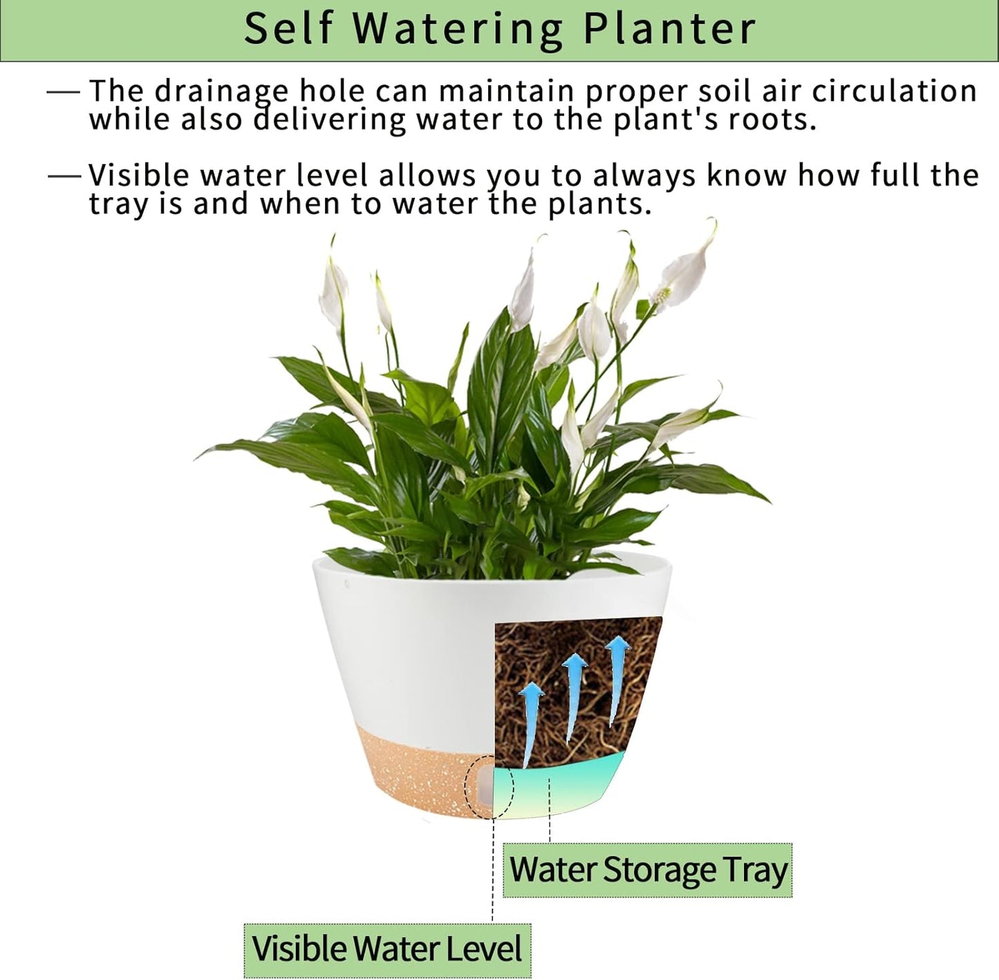 2 Pack 10 Inch Hanging Planters for Indoor Outdoor Plants, Hanging Plant Flower Pot Basket with Drainage Hole with Removable Tray&Hooks Self Watering Plant Pot for Hanging Plants, White