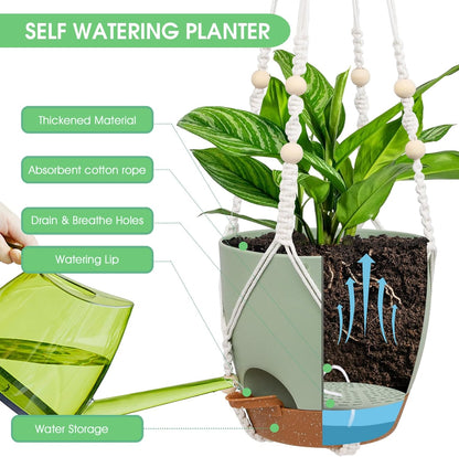 Hanging Planters for Indoor Outdoor Plants, 2 Pack Self Watering Hanging Pot with Drainage Holes, Removable Tray & 2 Kinds of Plant Hangers, 8'' Hanging Flower Pots for Home Garden Decor, Green