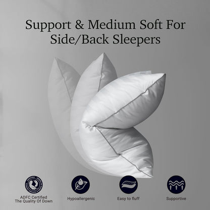 Hotel Grand Softy-Around Feather Down Pillows Standard Size Set of 2 Packs White Strip 100% Cotton Fabric Bed Pillows for All Position Sleepers,26"x20"/2 Packs