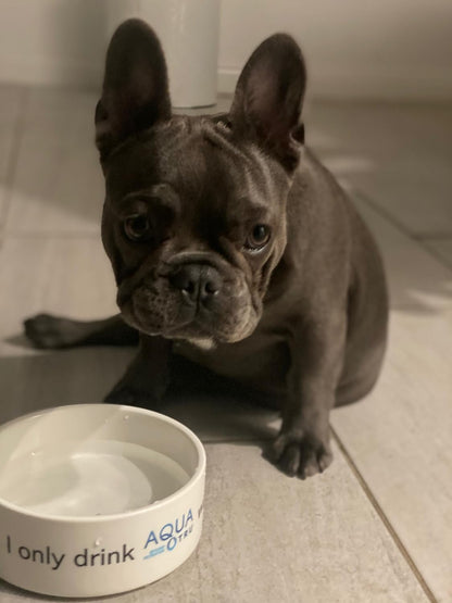 AquaTru Carafe Smart | Countertop Water Purifier for PFAS and Other Contaminants with Exclusive 4-Stage Ultra Reverse Osmosis Technology (No Plumbing or Installation Required) | BPA Free