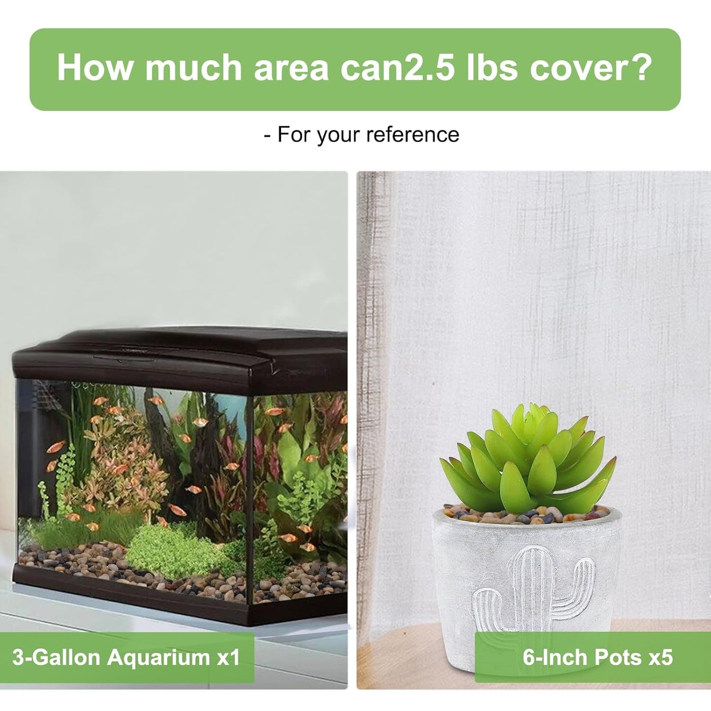 5 lbs Drainage Rocks for Potted Plants, 1/5 Inch Small Pebbles for Indoor Plants, Decorative Gravel for Vases, Bamboo, Succulent, Terrarium, Crafts, Cactus