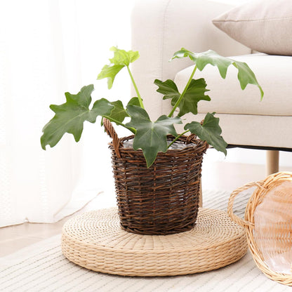 Handwoven Red Willow Planter Basket with Waterproof Liner – Natural Brown Decorative Flower Pot Holder for Indoor Use - Small Size (Inner Top Ø 7", Inner Height 5.9")