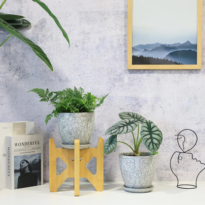 6 Inch Ceramic Planter Pots with Drainage Hole and Saucers for Indoor Plants, Garden Pots for Succulent, Orchid, and Flower - Set of 2