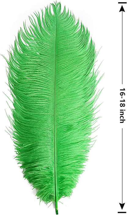 THARAHT Green Ostrich Feathers 12pcs Large Natural Bulk 16-18Inch 40cm-45cm for Wedding Party Centerpieces Mardi Gras and Home Decoration Feathers