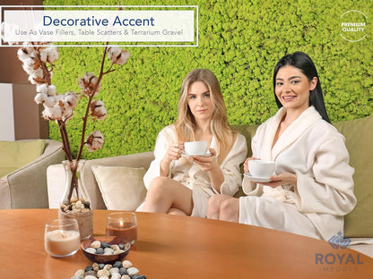 Royal Imports 1LBS River Rocks Decorative Ornamental Pebbles, Garden Landscaping Stones, Gravel Filler for Plants, Vases, Succulents, Home Decor, Aquariums, Crafting, Animal Habitat - Small Natural