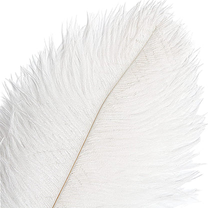 THARAHT 12pcs White Ostrich Feathers Natural Bulk 16-18Inch 40cm-45cm for Wedding Party Centerpieces Easter Gatsby and Home Decorate Ostrich Feathers
