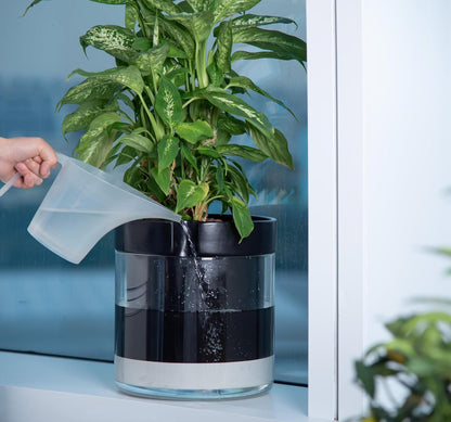 Phoenix Vine 10 Inch Self Watering Terracotta Planter, Black Terracotta Clay Pot with Glass Reservoir for Indoor Plants, Herbs, Flowers, Set of 1, 52-C-I-1