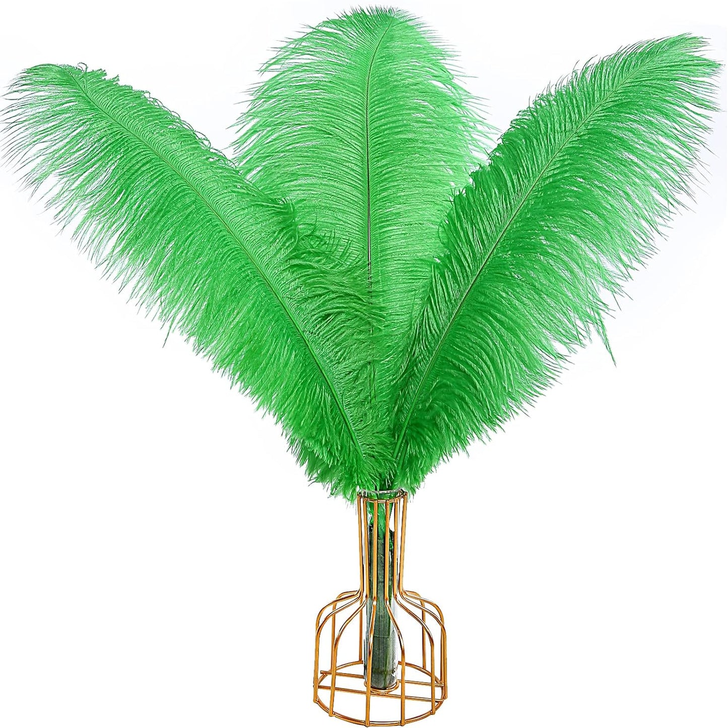 THARAHT Green Ostrich Feathers 12pcs Large Natural Bulk 16-18Inch 40cm-45cm for Wedding Party Centerpieces Mardi Gras and Home Decoration Feathers