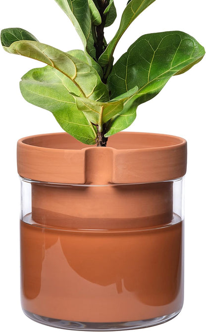 Phoenix Vine 10 Inch Self Watering Planter Pot, Terracotta Clay Pot with Glass Reservoir for Indoor Plants, Herbs, Flowers, Set of 1, 52-A-I-1