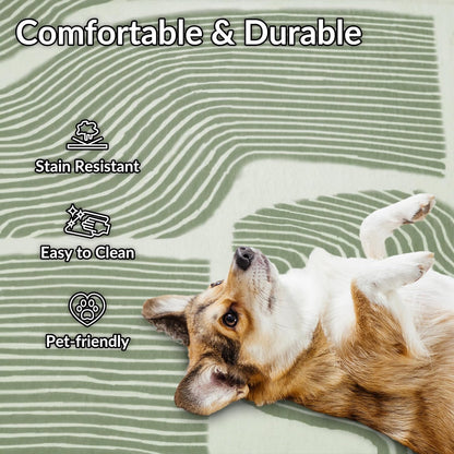 Zen Garden Area Rug - Ultra Soft Area Rug 4x6, Non Slip, Stain Resistant Living Room Rug, Washable Area Rugs for Living Room, Rugs for Bedroom (Green, 4x6)