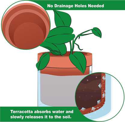 Phoenix Vine 6 Inch Self Watering Planter Pot, Terracotta Clay Pot with Glass Reservoir for Indoor Plants, Herbs, Flowers, Set of 1, 52-A-F-1