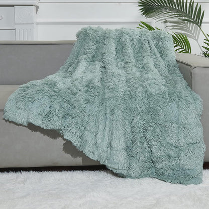 GONAAP Fuzzy Faux Fur Throw Blanket Twin Size Ice Blue Super Soft Cozy Plush Fuzzy Shaggy Blanket for Couch Sofa Bed (Ice Blue, Twin(60"x80"))