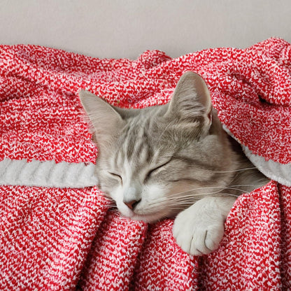 MIULEE Red Super Soft Throw Blanket for Couch, Cozy Fluffy Warm Blankets Knit Throw Blankets for Sofa, Bed, Chair, Living Room, Camping, Picnic, 50 x 60 inch