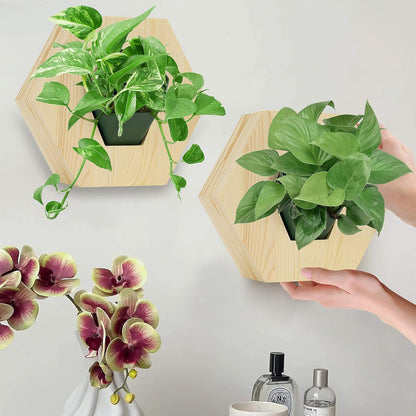 Hexagonal Wooden Wall Planter, Self Watering Living Vertical Planters Indoor, Wooden Frame Planter Wall Decoration Home Office 2pc