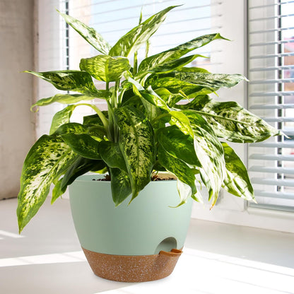 Big Self Watering Pots 12/10/9 inch, Planter, Plant Pots with Mesh Drainage Holes for Indoor Outdoor Garden Plants, Plastic Flower Pots with Removable Deep Reservoir, Green with Brown