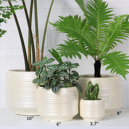 10 Inch Ceramic Plant Pot with Drainage – Large Flower Pot for Indoor Outdoor Plants, Modern Decorative Planter for Patio, Balcony, Garden, or Home Decor