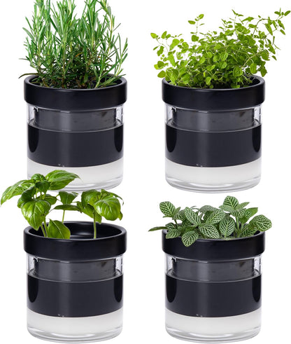 Phoenix Vine 4 Inch Self Watering Planter Pot, Black Terracotta Clay Pot with Glass Reservoir for Indoor Plants, Herbs, Flowers, Set of 4, 52-C-E-4