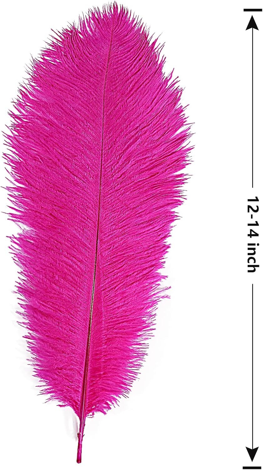 THARAHT Hot Pink Ostrich Feathers 12pcs Large Natural Bulk 12-14Inch 30cm-35cm for Wedding Party Centerpieces Easter Gatsbi and Home Decoration Feathers