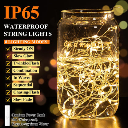 Lakumu LED Fairy Lights Battery Operated, Rechargeable Twinkle Lights with Timer, Mini LED String Lights for Bedroom, Christmas Decorations, Wedding, Vine, Centerpiece Table Decor (5M/16FT Warm White)