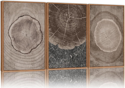 SIGNINART Beige Tree Ring Framed Canvas Wall Art Set, Abstract Black and White Rustic Wood Wall Decor, Neutral Wood Stump Artwork, Modern Art Prints for Bedroom Living Room Office 16"x24"x3