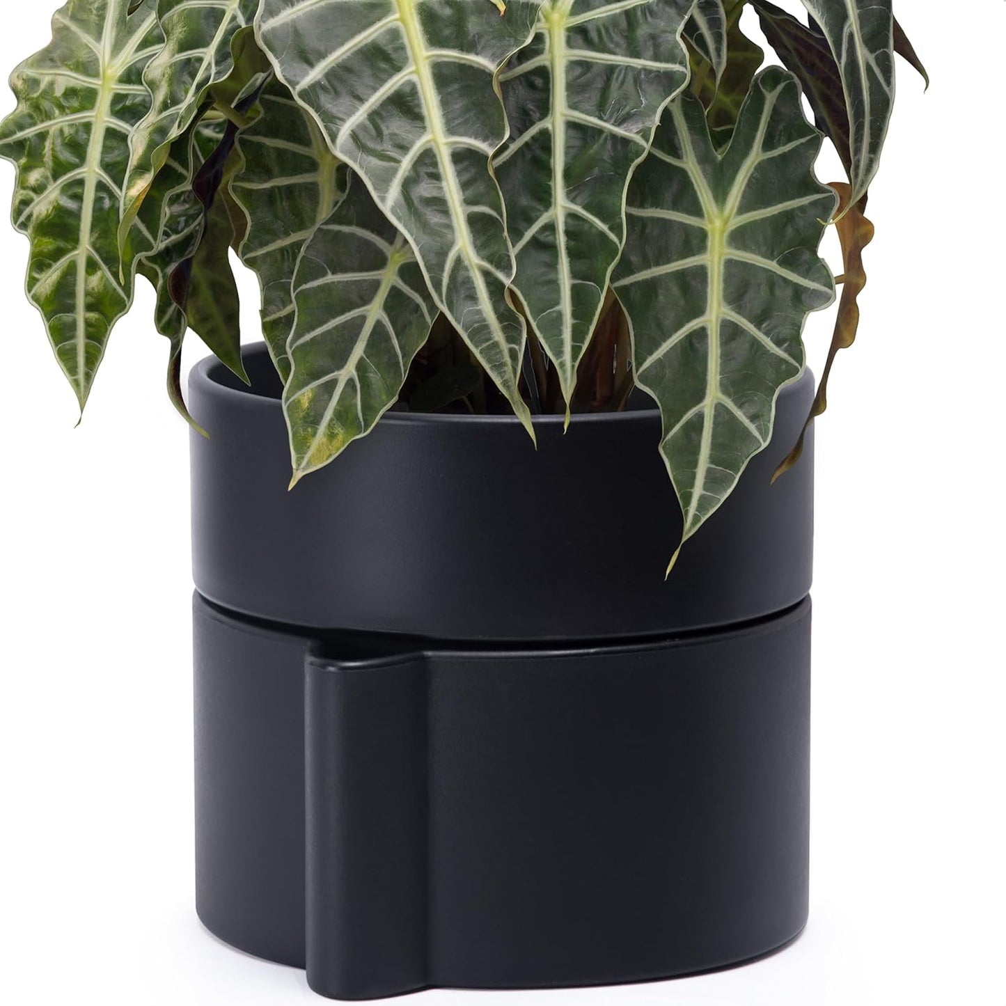 Phoenix Vine 8 Inch Self-Watering Planter Pot with Terracotta Insert, Deep Water Reservoir, and Ceramic-Alike BPA-Free Plastic Planter Pot for Plant, Modern Planter for Houseplants, Black, 53-A-T-2