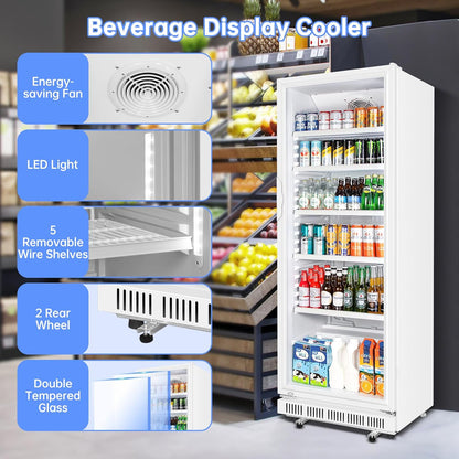Commercial Beverage Refrigerator, 24.5 Inch 15 Cu. Ft. Drink Fridge, Display Refrigerator with Glass Door, Commercial Display Fridge with 5 Adjustable Shelves, for Shops, Restaurants, Bars