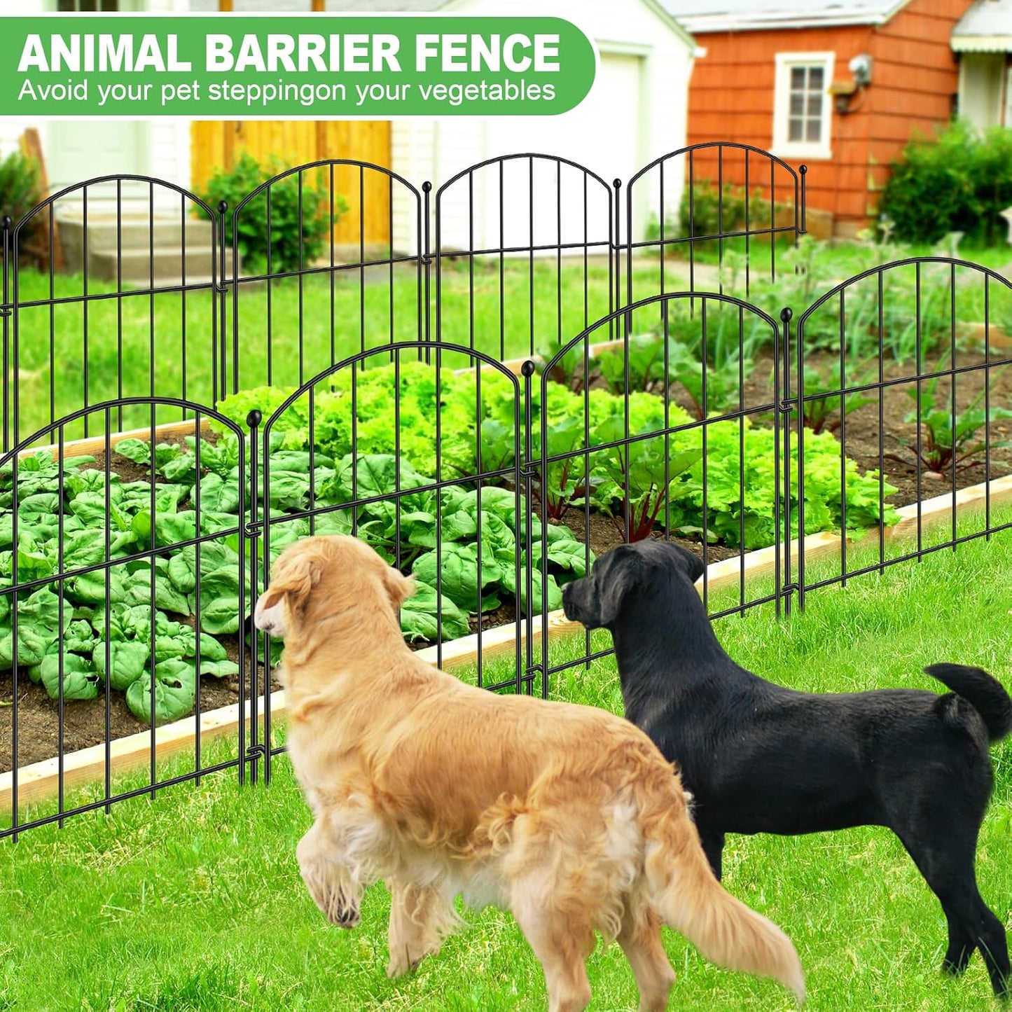 Decoration Garden Fence 17in x 10ft, 10 Pack Rustproof Metal Animal Barrier Fence, Arched Flower Bed Edge Decorative Rabbit and Dog Ground Defense No-Dig Fence for Patio Patio Outdoor