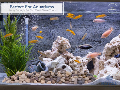 Royal Imports 2LBS River Rocks Decorative Ornamental Pebbles, Garden Landscaping Stones, Gravel Filler for Plants, Vases, Succulents, Home Decor, Aquariums, Crafting, Animal Habitat - Small Natural