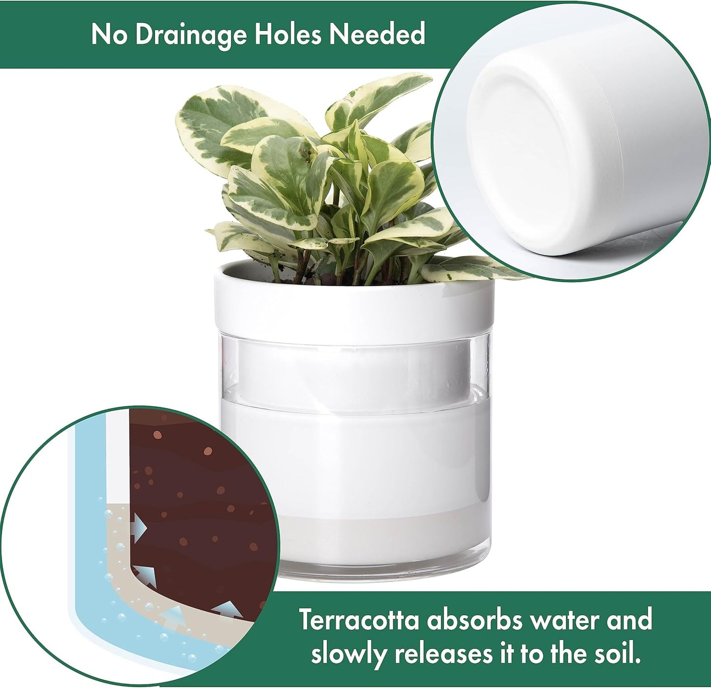 Phoenix Vine 6 Inch Self Watering Planter, White Terracotta Clay Pot with Glass Reservoir for Indoor Plants, Herbs, Flowers, Set of 2, 52-B-F-2