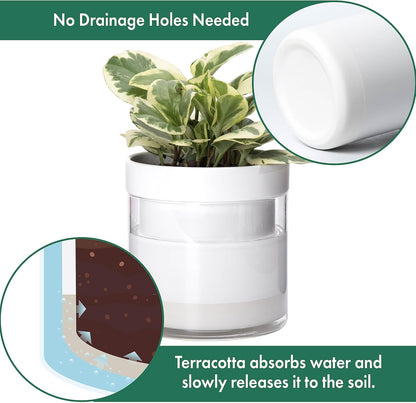 Phoenix Vine 6 Inch 4 Inch Self Watering Planter, White Terracotta Clay Pots with Glass Reservoir for Indoor Plants, Herbs, Flowers, 52-B-G-46