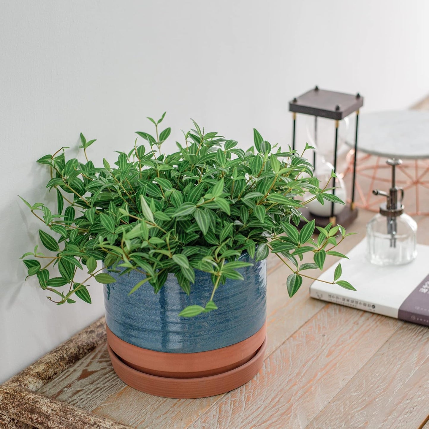 8 Inch Pots for Plants, Ceramic Planter Pot with Drainage Hole & Saucer, Indoor/Outdoor Cylinder Round Planter Pot, Blue & Terracotta