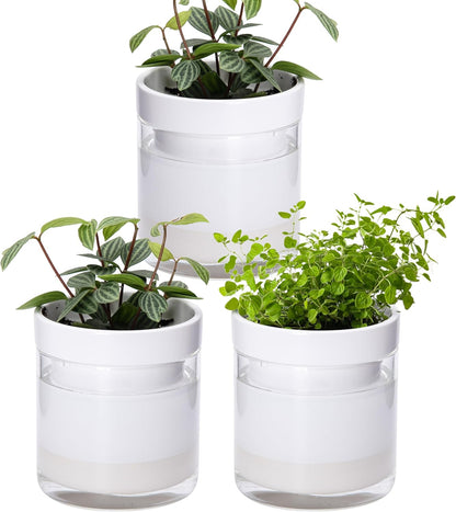 Phoenix Vine 4 Inch Self Watering Planter, White Terracotta Clay Pot with Glass Reservoir for Indoor Plants, Herbs, Flowers, Set of 3, 52-B-E-3