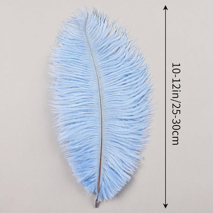 THARAHT Baby Blue Ostrich Feathers 24pcs Natural Bulk 10-12Inch 25cm-30cm for Crafts Wedding Party Centerpieces Easter Gatsbi and Home Decoration Feathers