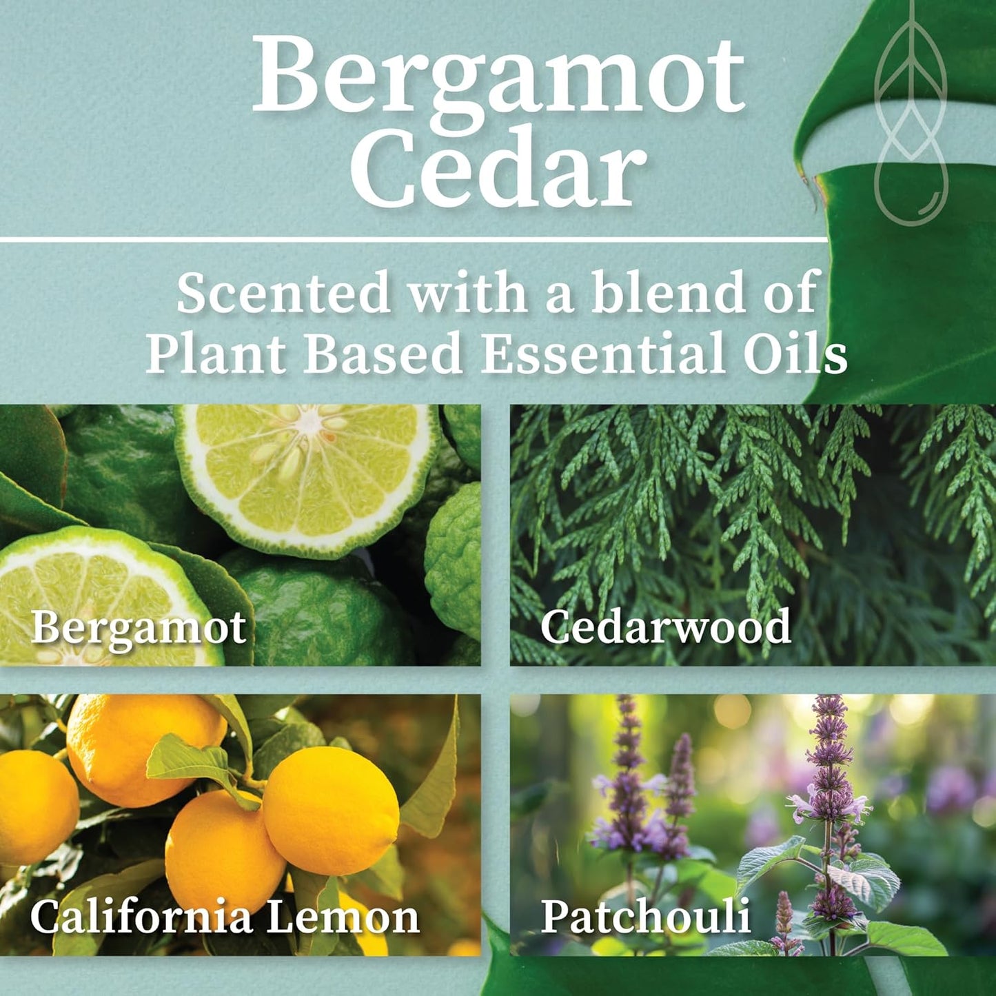 Hemlock Park Wood Wick Candle Handcrafted with Natural Coconut Wax and Essential Oils (Amber & Gold 7.2 oz, Bergamot Cedar)