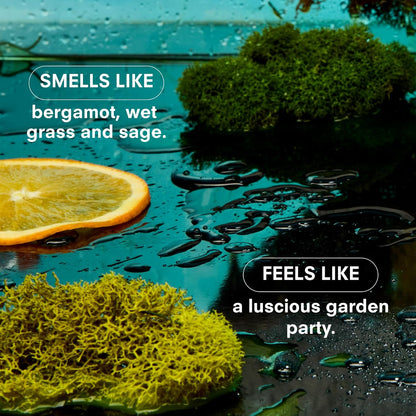 Boy Smells Grass Scented Candle - 8.5 oz - Home Candle with Bergamot, Fresh Sage, and Wild Grass Notes - Up to 50-Hour Burn - Cotton Wick