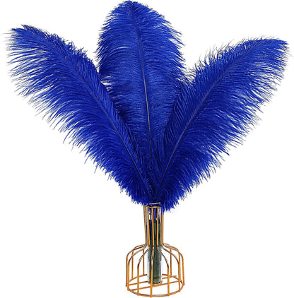 THARAHT Blue Ostrich Feathers 12pcs Large Natural Bulk 16-18Inch 40cm-45cm for Wedding Party Centerpieces Halloween and Home Decoration Feathers
