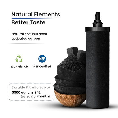 2.25 Gallons NSF Certified AISI 304 Stainless Steel Water Filter with 2 Smart Carbon (Black) Filters, 2 POSTreat Steel Fluoride Removal Elements & Free Stainless Steel Spigot