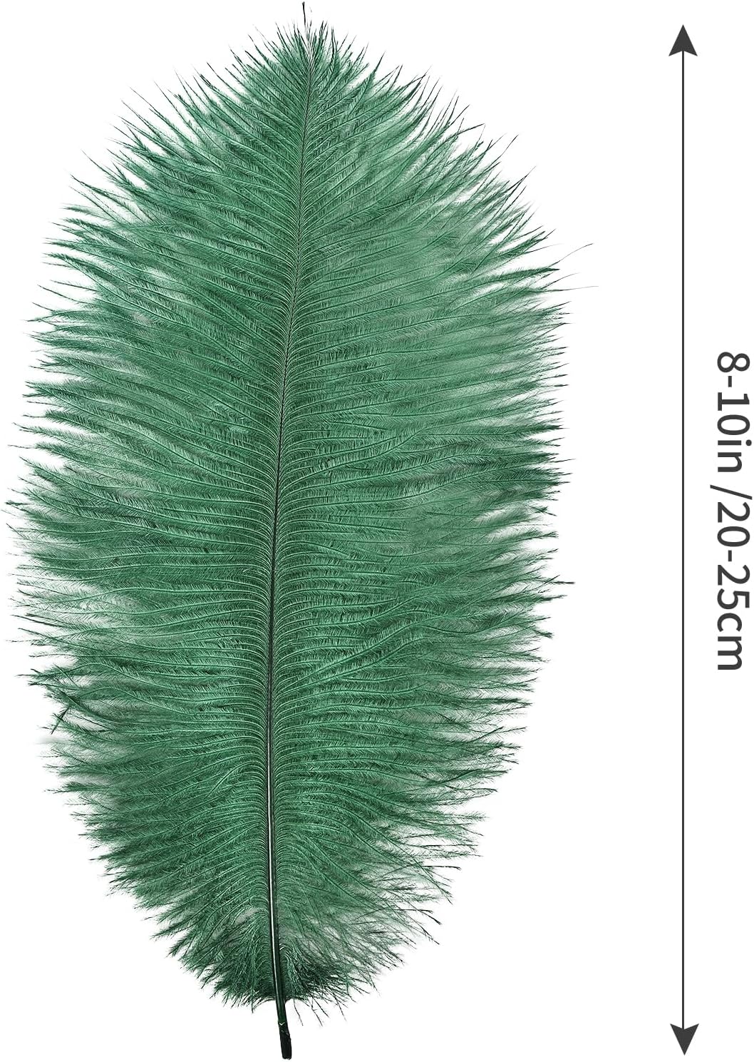 THARAHT Blackish Green Ostrich Feathers 24pcs Natural Bulk 8-10Inch 20cm-25cm for Crafts Wedding Party Centerpieces Mardi Gras Decoration Feather