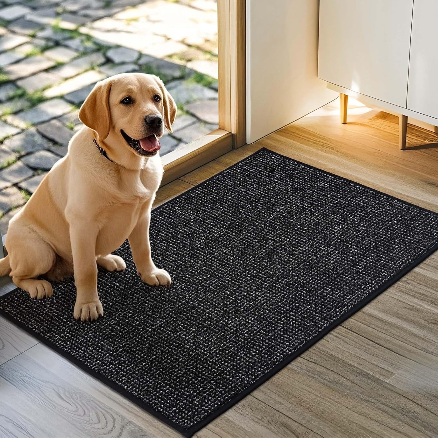 JSEI Dirt Trapper Door Mat 24"x36" Non-Slip Washable Entrance Mat, Dog Doormats, Absorbent & Fade-Resistant Floor Mats, Low Profile Welcome Mats for Entryway, Front Door, and Inside Entrance, Black