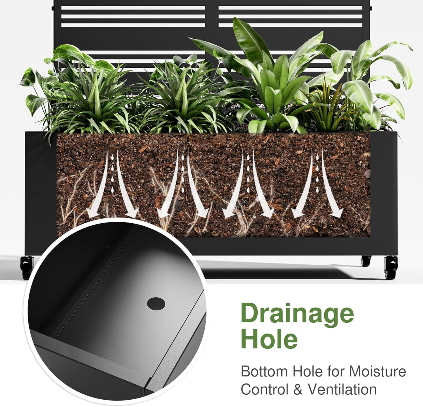 Casaphoria Metal Raised Garden Bed with Trellis and Wheels, 72"x35"x16" Arched Planter Box for Climbing Plants, Vegetables & Vines, Features Drainage Holes and Privacy Screen (Black-Harold)