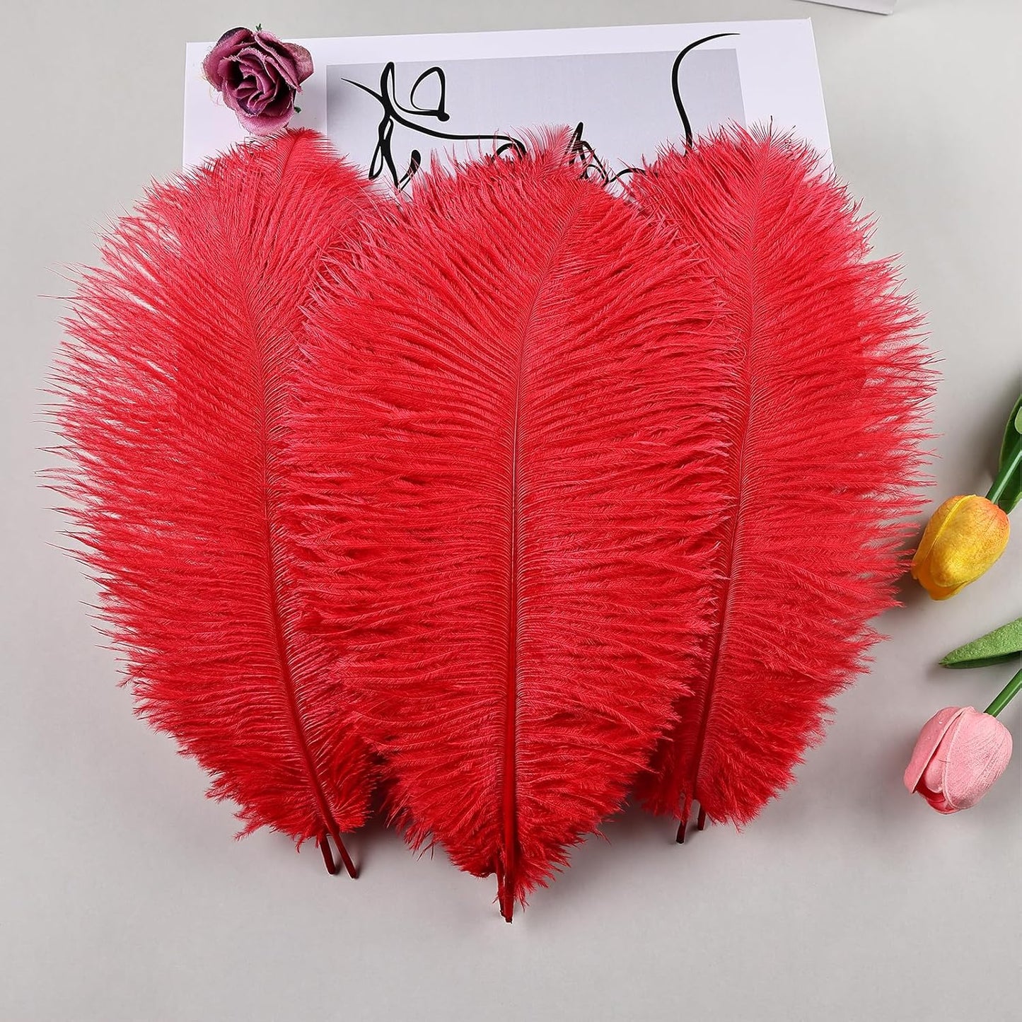 THARAHT 24pcs Red Ostrich Feathers Natural Bulk 8-10Inch 20cm-25cm for Wedding Party Centerpieces Easter Gatsby and Home Decorate Ostrich Feathers