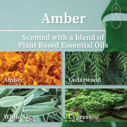 Hemlock Park Wood Wick Candle Handcrafted with Natural Coconut Wax and Essential Oils (Amber & Gold 7.2 oz, Amber)