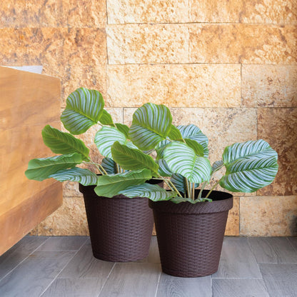 Elly Décor Set of 2 12 inch Round Saucer Modern Self Watering Planter Plates, Pots with Rattan-Like Finish, 12x12 Chocolate Brown