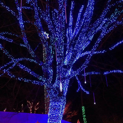 Dazzle Bright Outdoor Christmas String Lights, 1000 LED 328 FT Plug in Fairy Light with Remote Control 8 Modes & Timer, Waterproof Decoration for Home Garden Yard Xmas Wedding, Blue