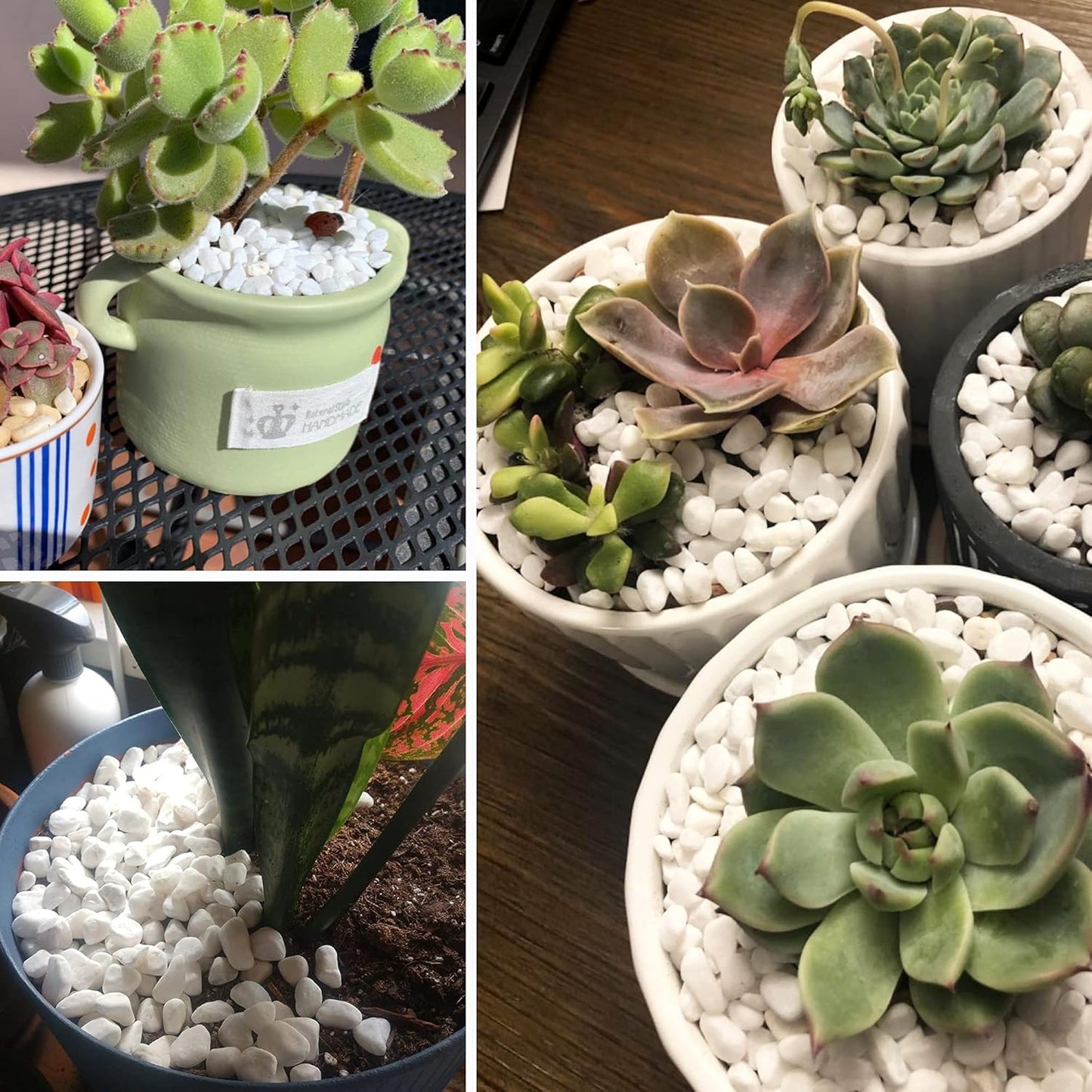 CJGQ White Pebbles for Plants Garden Vases 7 lb White Rocks Gravel Decorative Stone 1/2"